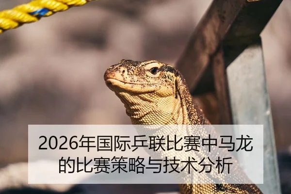 2026年国际乒联比赛中马龙的比赛策略与技术分析
