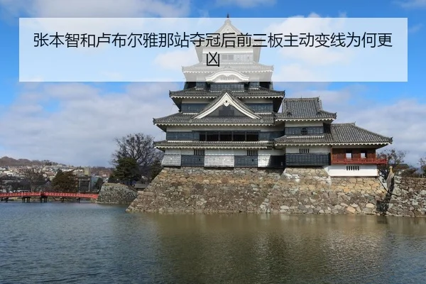 张本智和卢布尔雅那站夺冠后前三板主动变线为何更凶