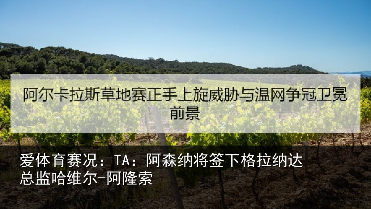 爱体育赛况:TA:阿森纳将签下格拉纳达总监哈维尔-阿隆索