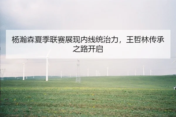 杨瀚森夏季联赛展现内线统治力，王哲林传承之路开启
